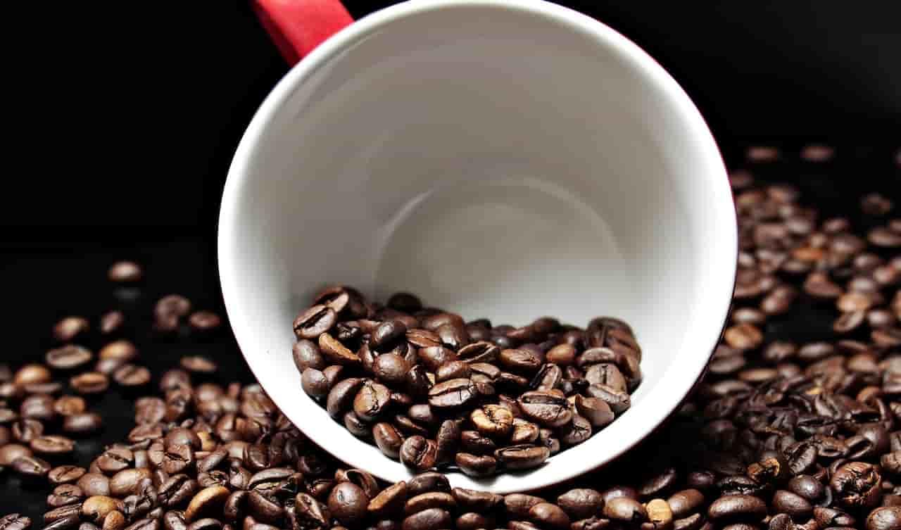 Best Jamaican Blue Mountain Coffee Beans