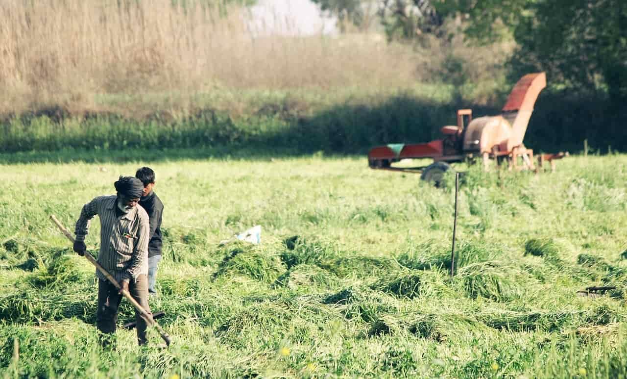 Fair Trade Coffee: What It Is and Why It Matters