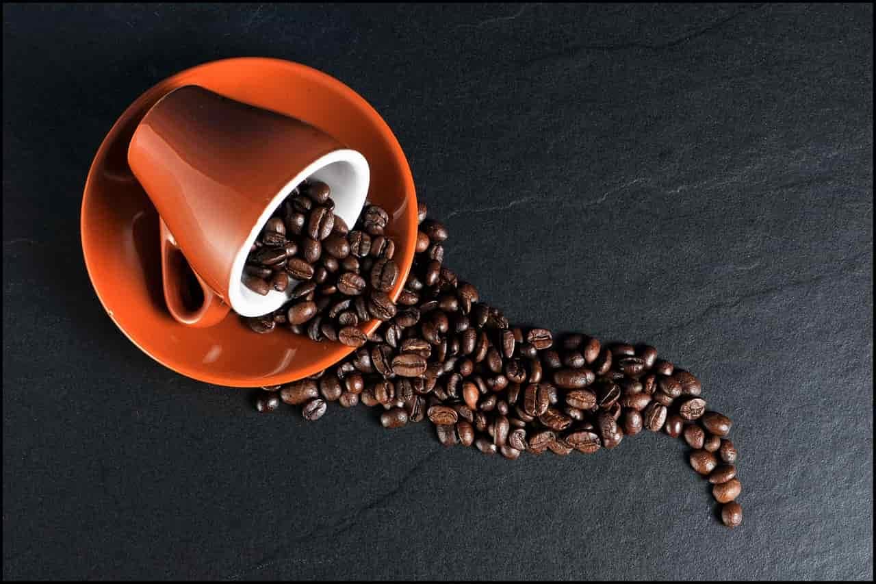 Best Coffee Beans For Jura Machines