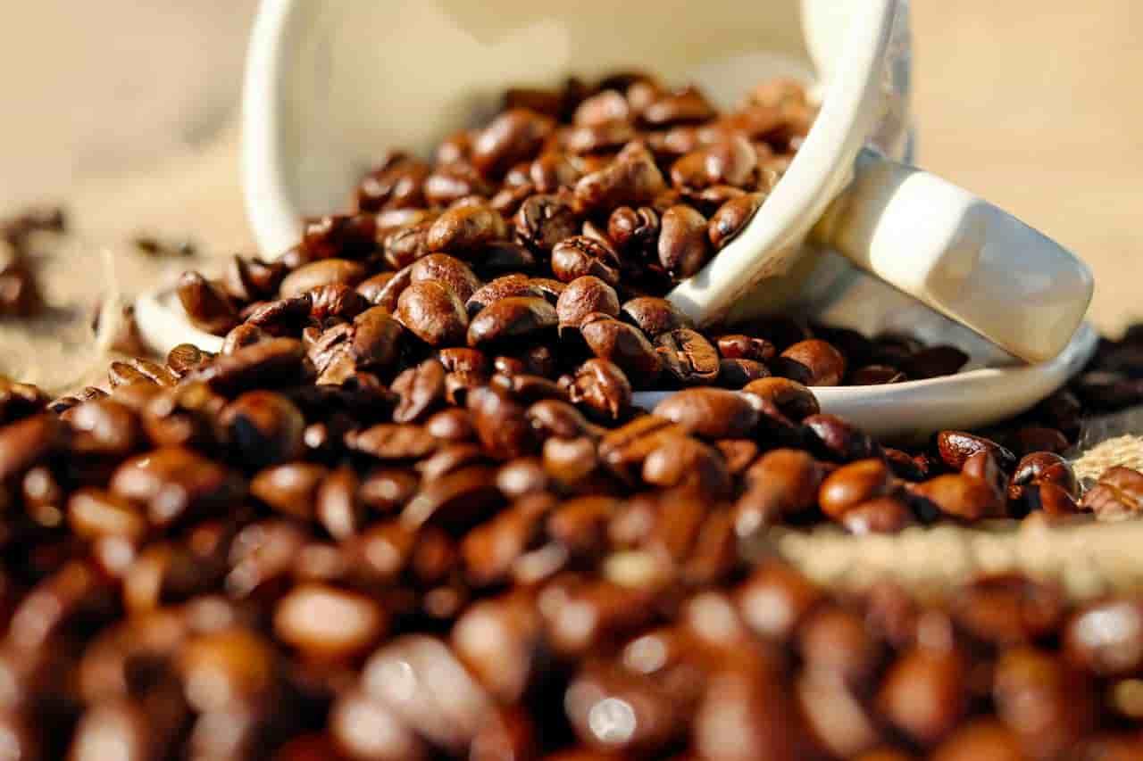 Best Organic Coffee Brands