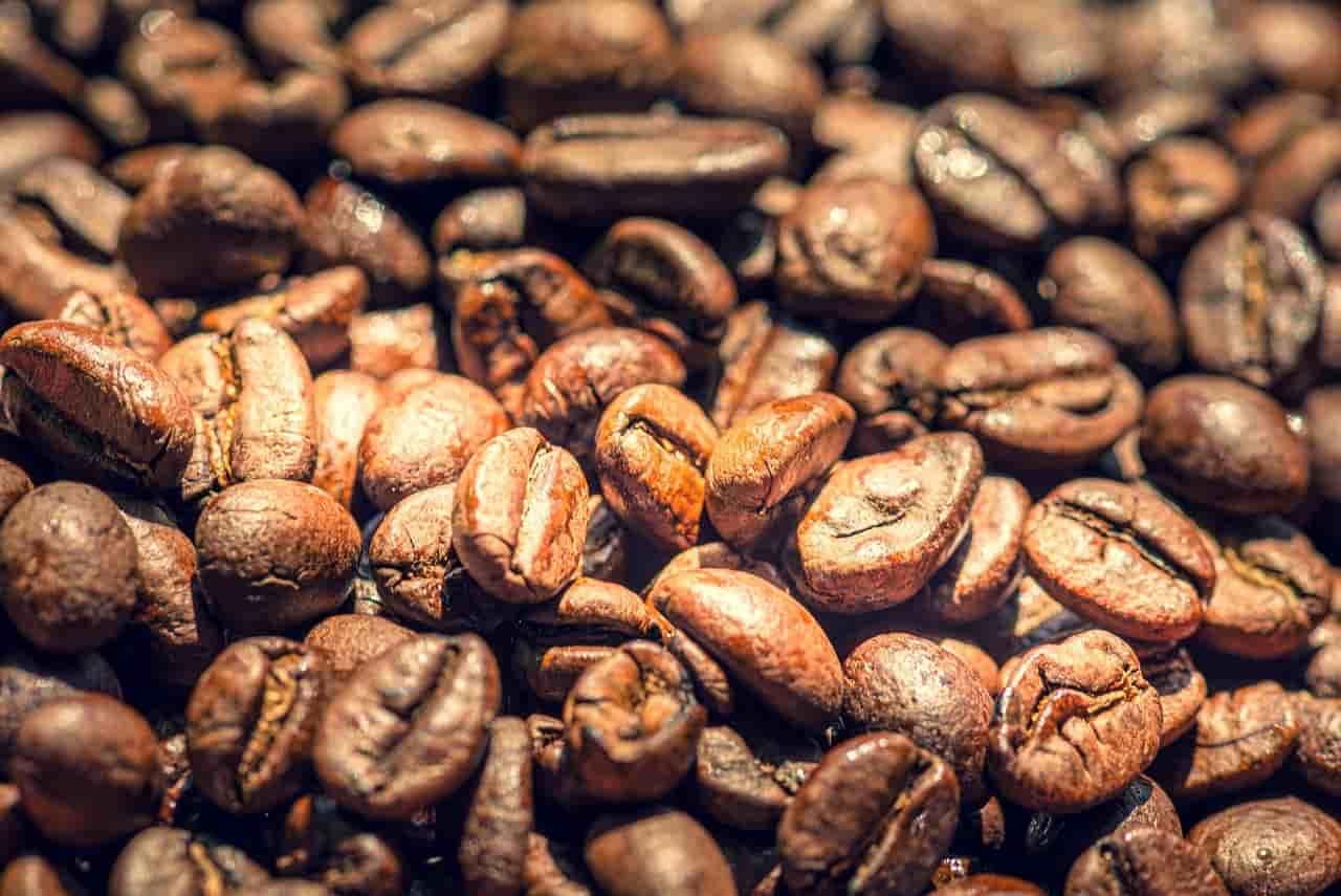 Best Light Roast Coffee Brands