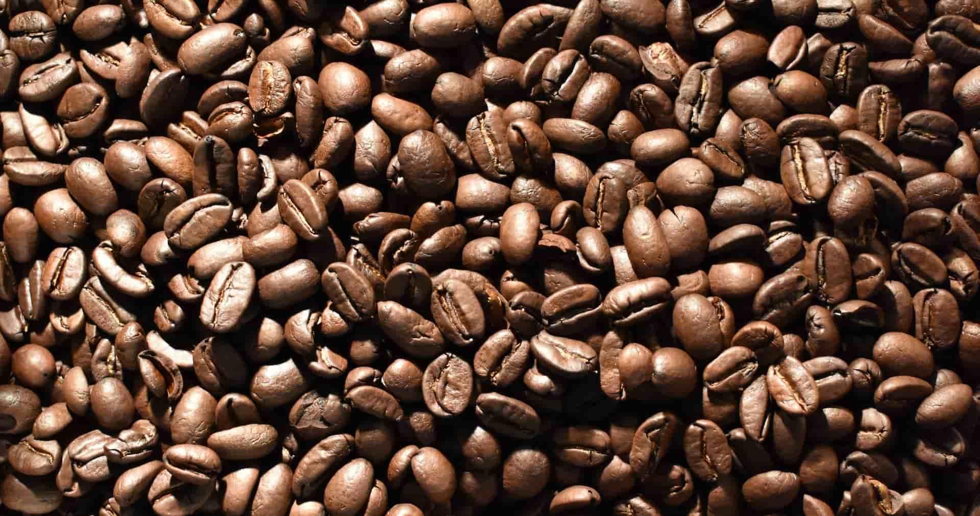 Best Arabica Coffee