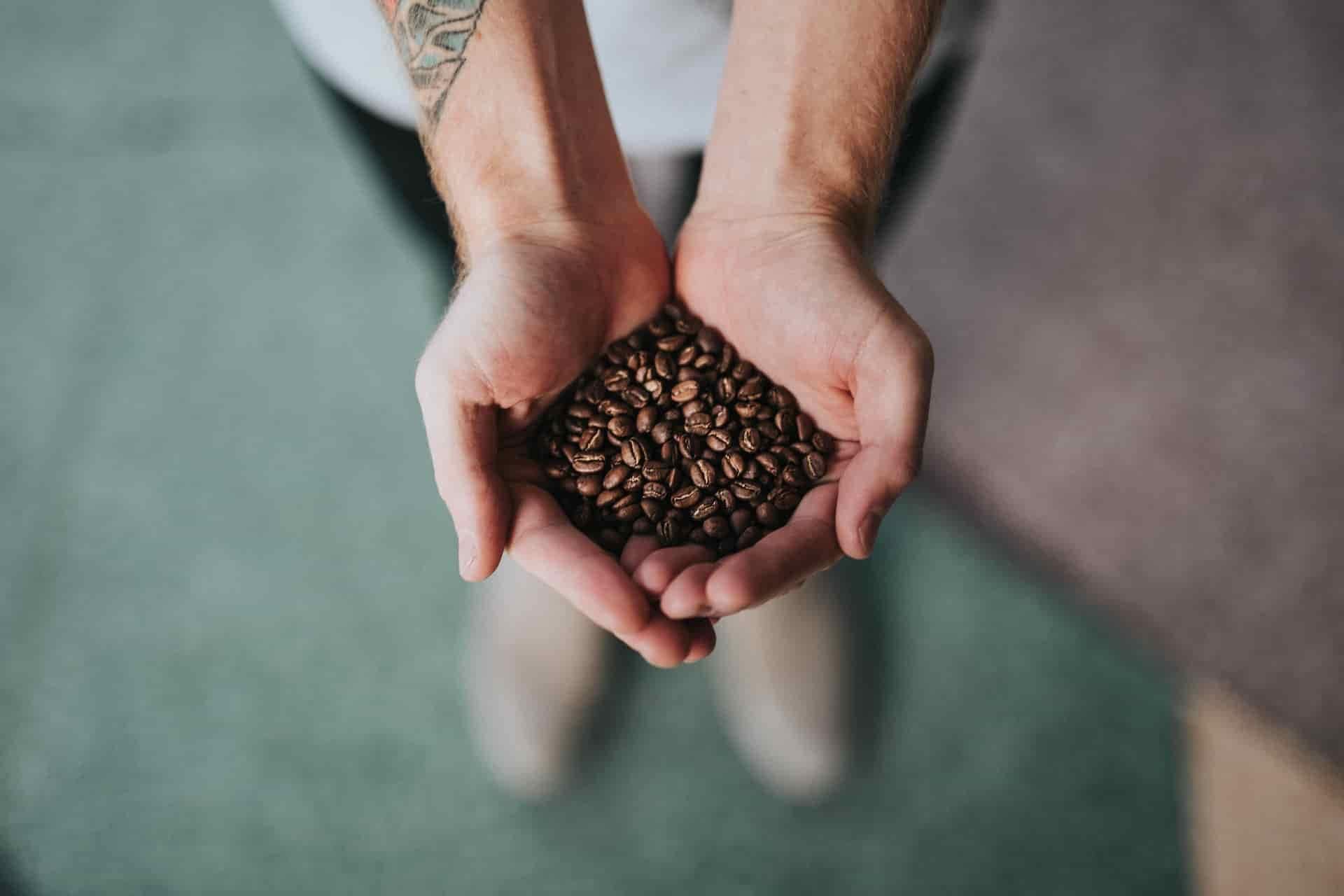Light Roast vs Dark Roast Caffeine