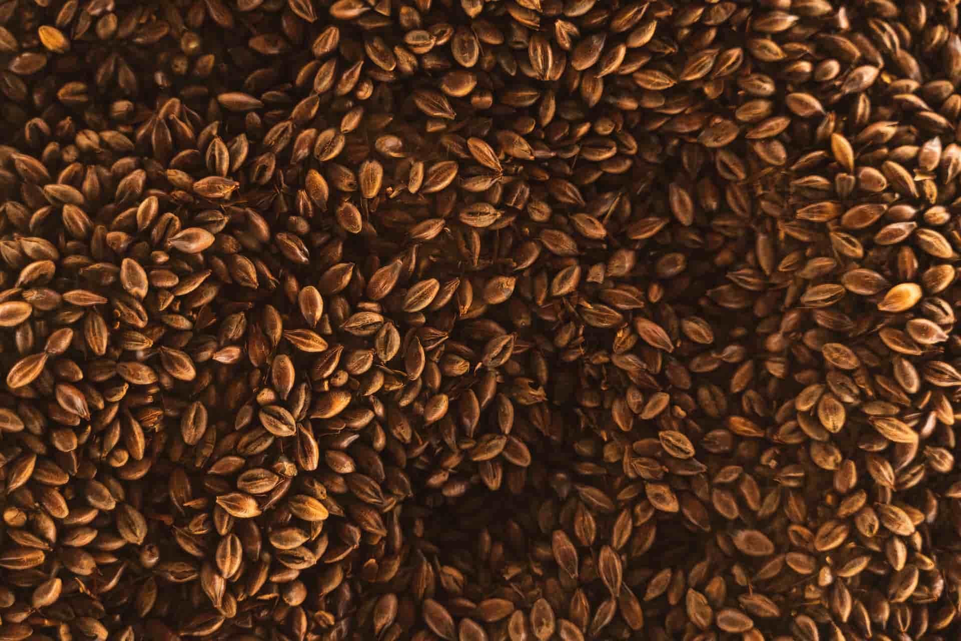 Can You Put Flaxseed In Coffee