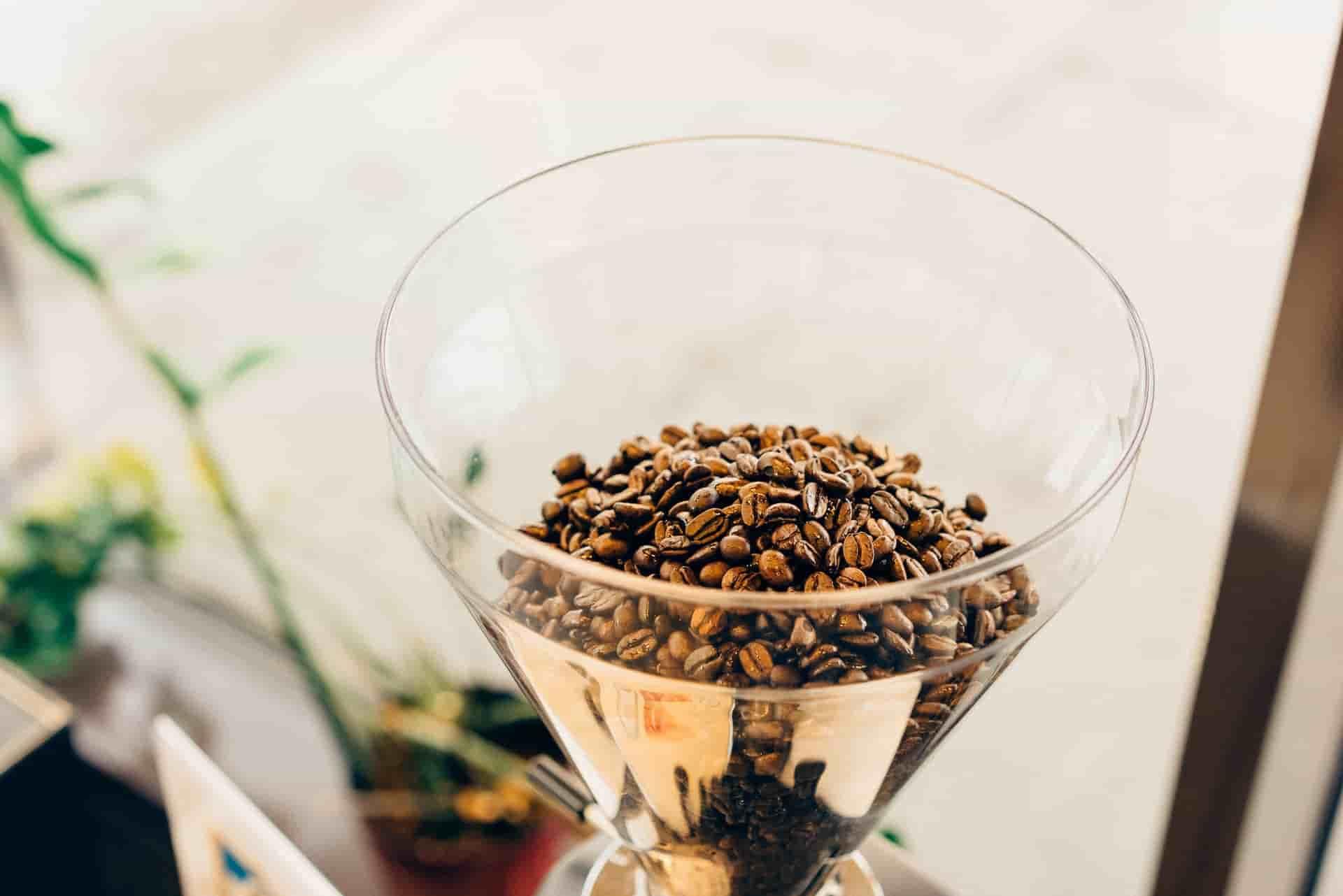 Conical vs Flat Burr Grinder