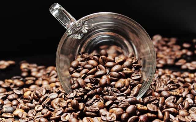 Best Coffee Roaster Machine For Small Business