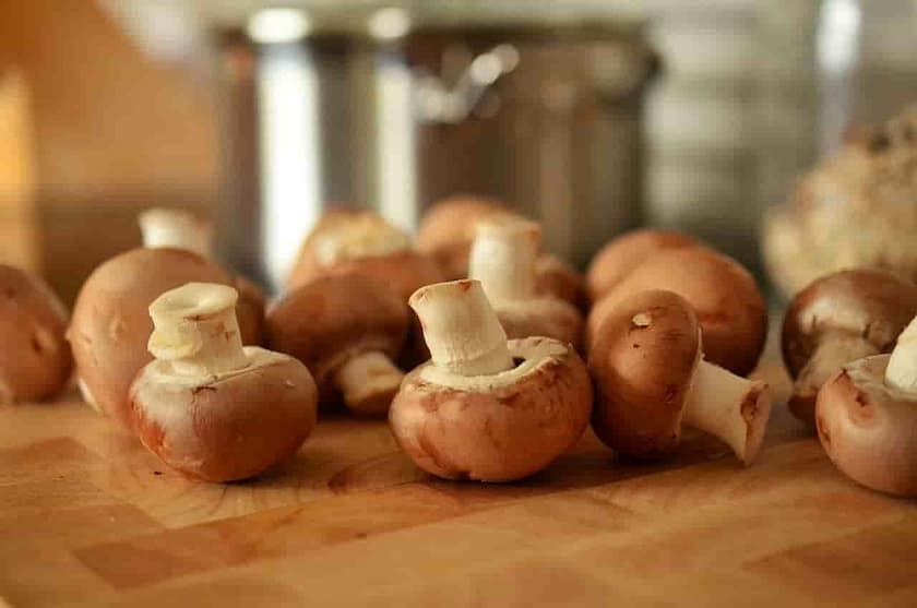Best Mushroom Coffee
