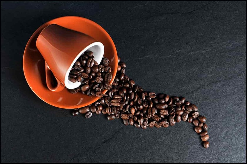Best Coffee Beans For Jura Machines