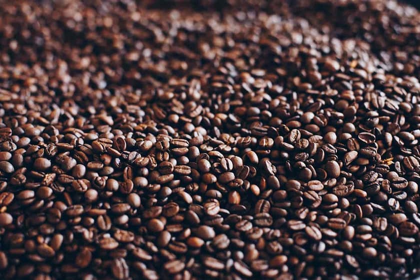 The Differences Between Single-Origin and Blend Coffee: Which One is Better?