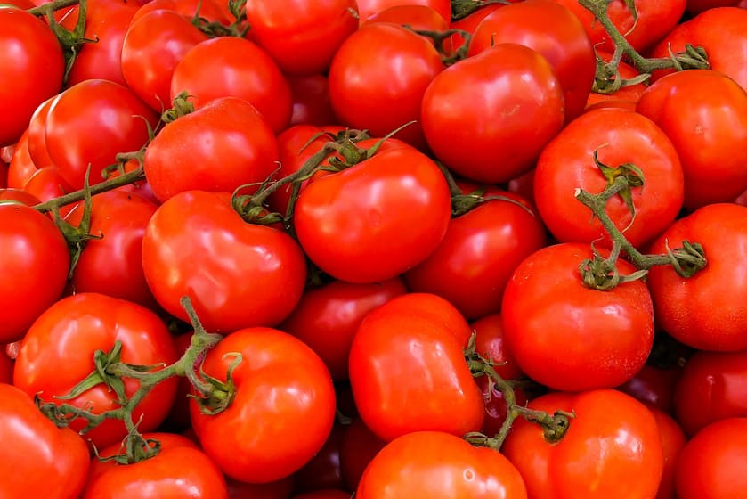 Is Coffee Grounds Good For Tomato Plants?