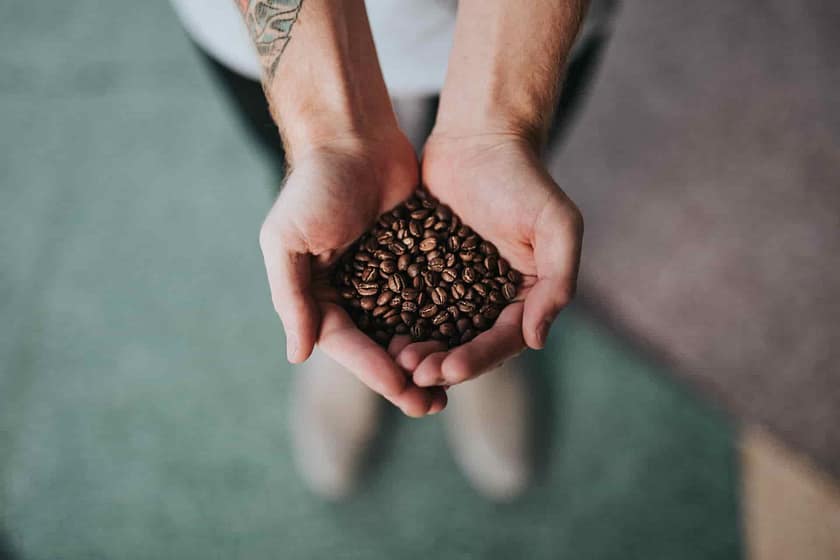 Light Roast vs Dark Roast Caffeine