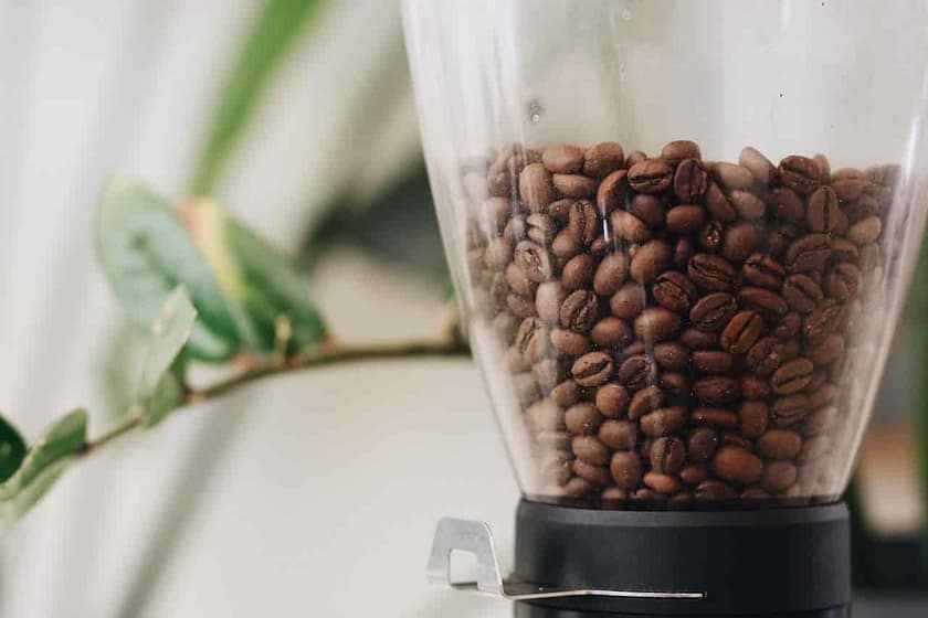 Breville Grinder Troubleshooting Tips