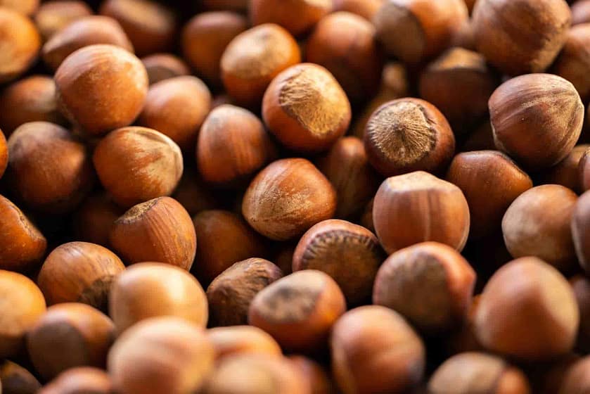 Best Hazelnut Coffee Brands