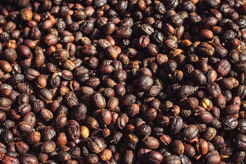 9 Best Puerto Rican Coffee Brands