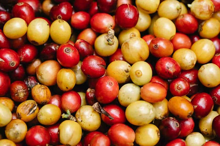 What Is Bourbon Coffee