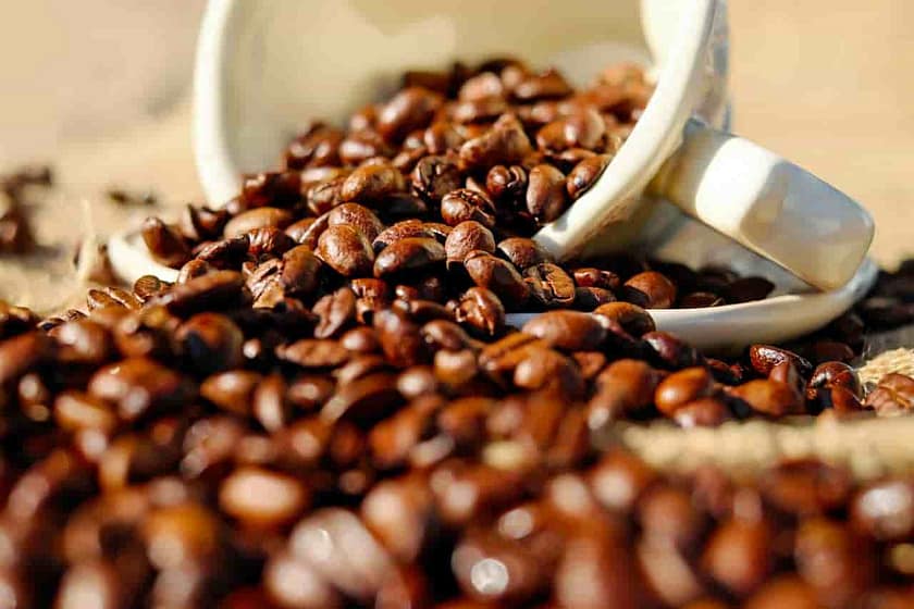 Best Organic Coffee Brands
