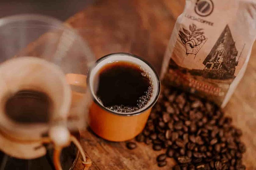 Best 12-Cup Coffee Maker