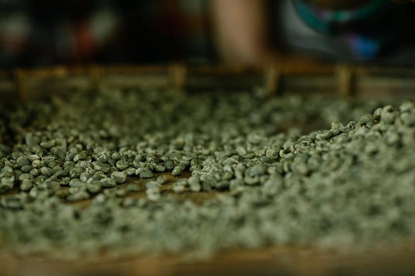 Rare and Exotic Coffee Beans